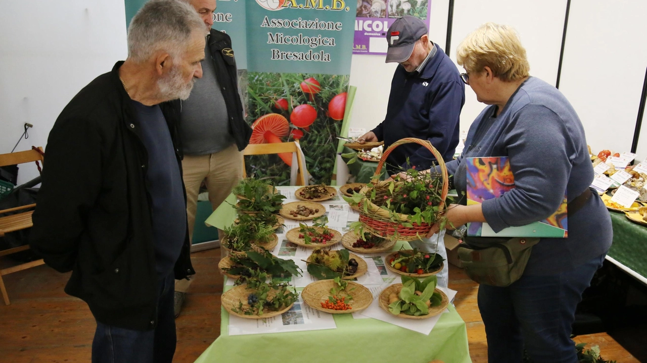 Il bilancio dell’Antica fiera di San Luca che è tornata dopo due anni di stop. La nuova formula è piaciuta anche agli espositori Il bilancio dell’Antica fiera di San Luca che è tornata dopo due anni di stop. La nuova formula è piaciuta anche agli espositori