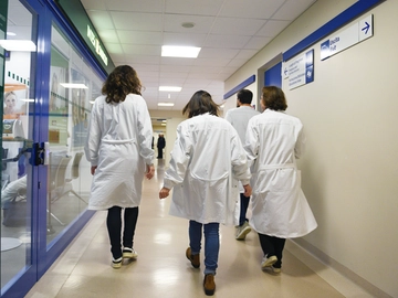 immagine articolo