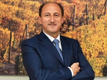 immagine articolo