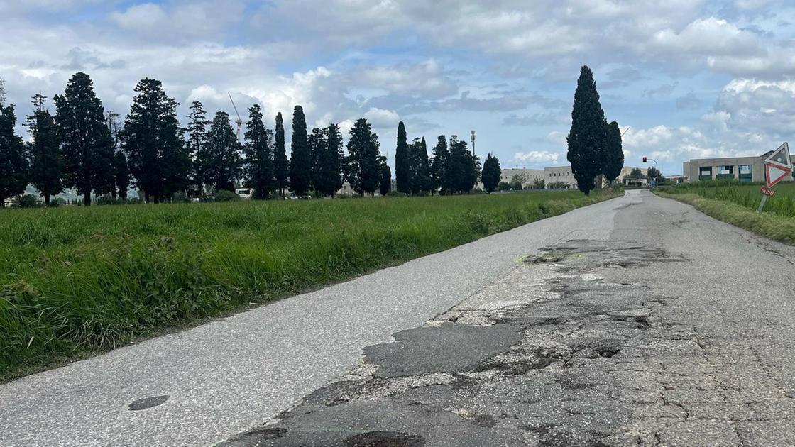 La strada delle buche: "Asfaltare via di Lavaiano". Raccolte oltre 500 firme La strada delle buche: "Asfaltare via di Lavaiano". Raccolte oltre 500 firme