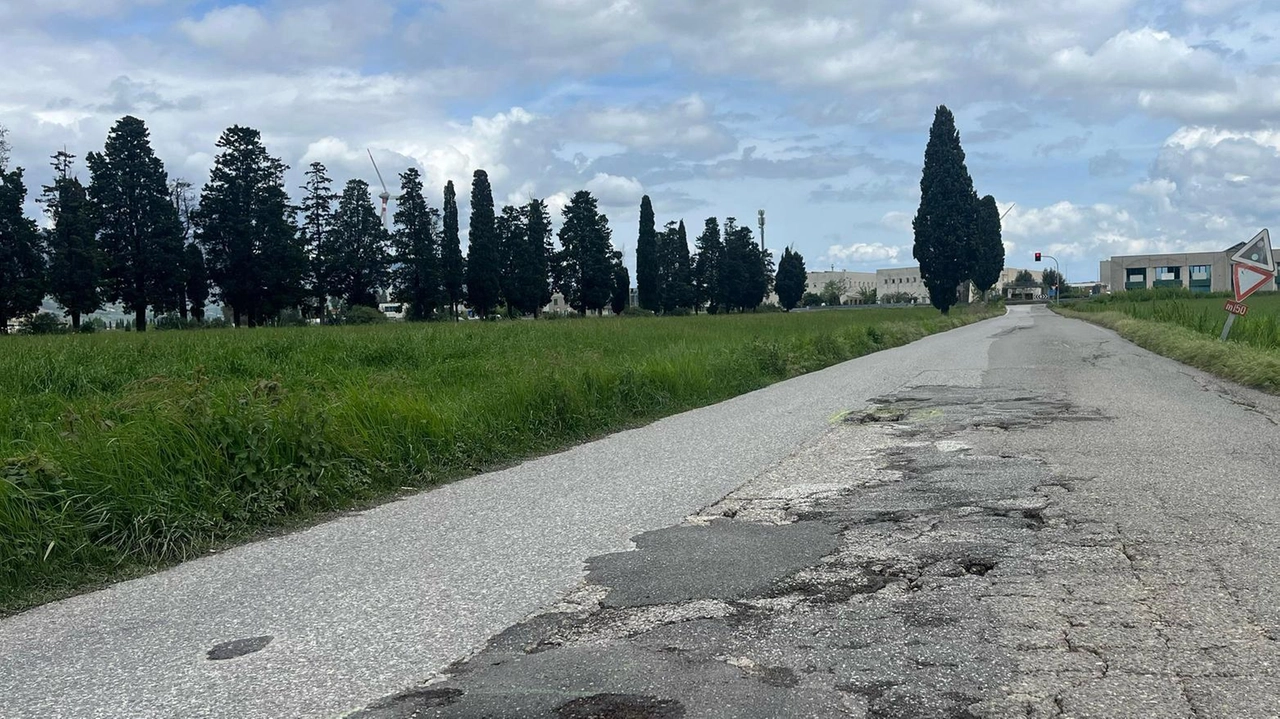 La petizione continua e incassa consensi: "Procedere oggi, subito, non domani" La petizione continua e incassa consensi: "Procedere oggi, subito, non domani"