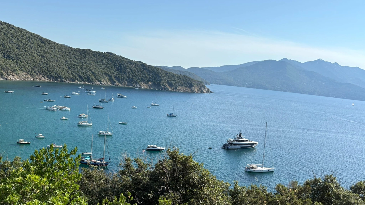 Sempre più calde le acque dell'Elba: il report di Greenpeace Sempre più calde le acque dell'Elba: il report di Greenpeace