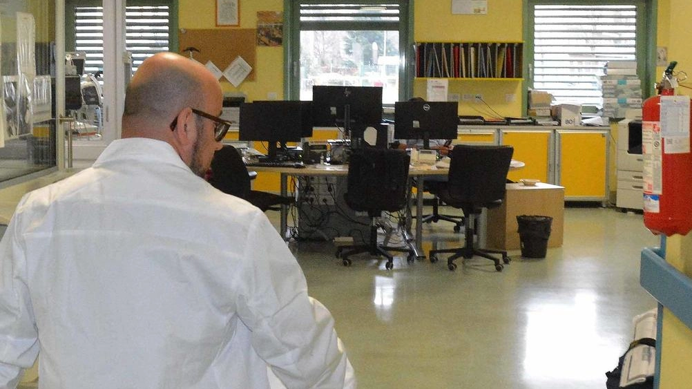 Due tragedie in 18 giorni sulla provinciale 77: una studentessa muore per uscita di strada, un altro incidente coinvolge un cinghiale. La presenza di animali selvatici aumenta il pericolo. Due tragedie in 18 giorni sulla provinciale 77: una studentessa muore per uscita di strada, un altro incidente coinvolge un cinghiale. La presenza di animali selvatici aumenta il pericolo.