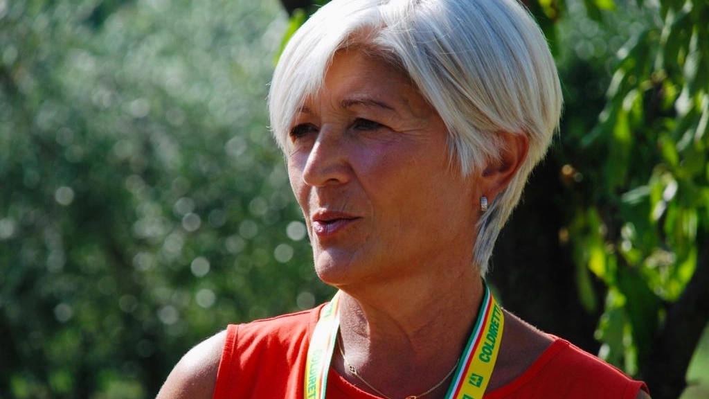 lidia castellucci lidia castellucci