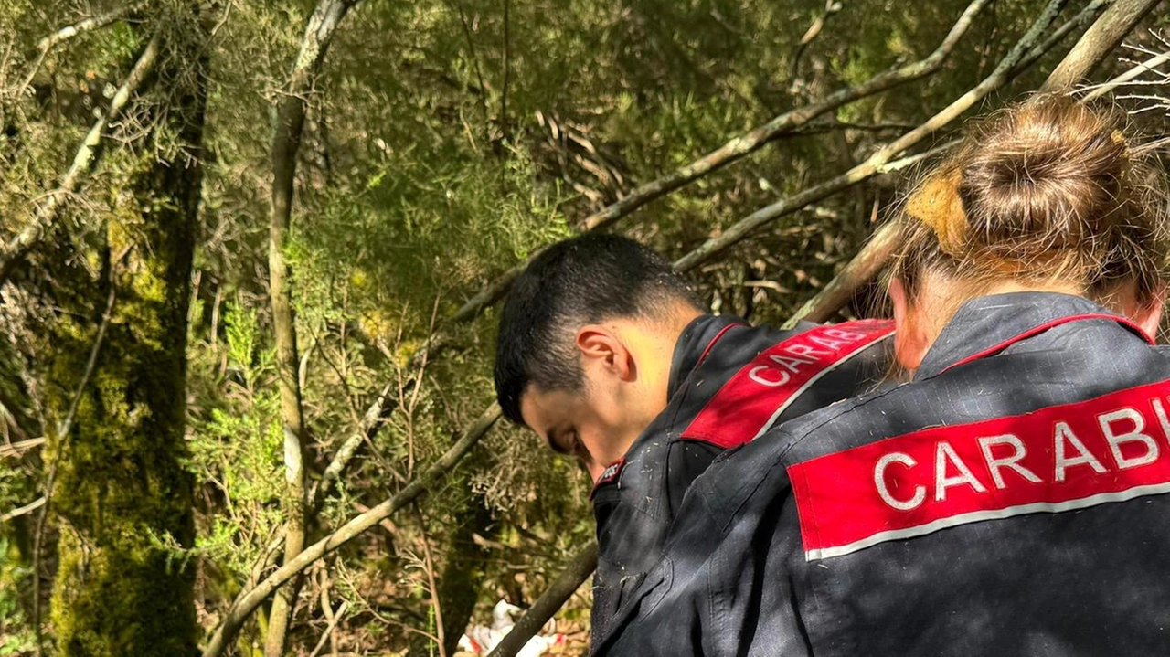 Gli spacciatori sempre più spesso si accampano nei boschi Gli spacciatori sempre più spesso si accampano nei boschi
