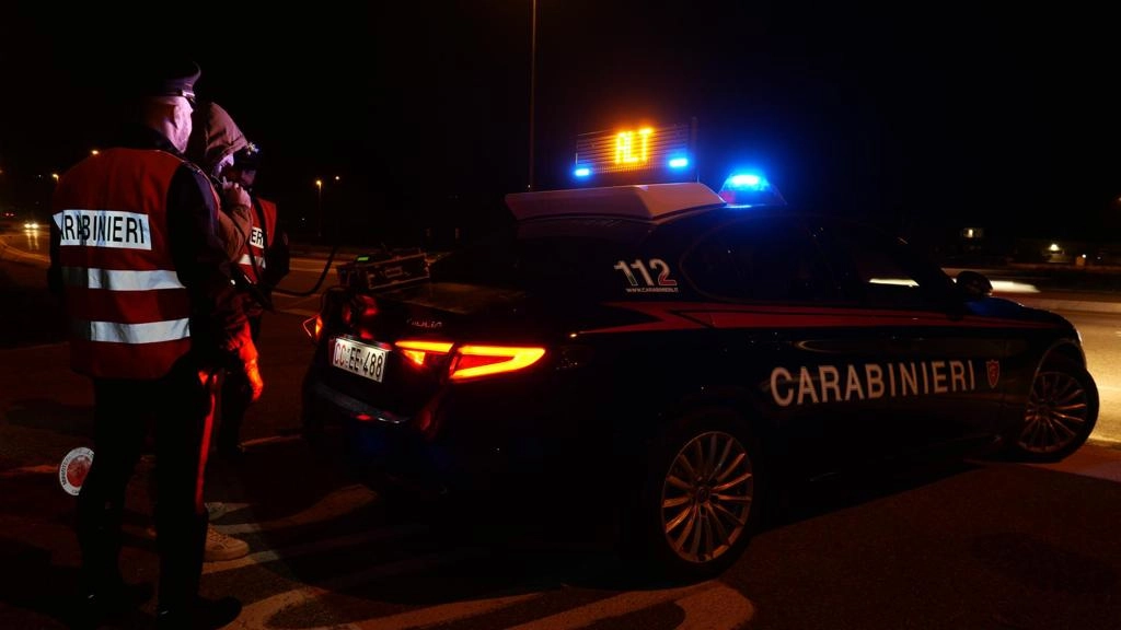 I carabinieri I carabinieri