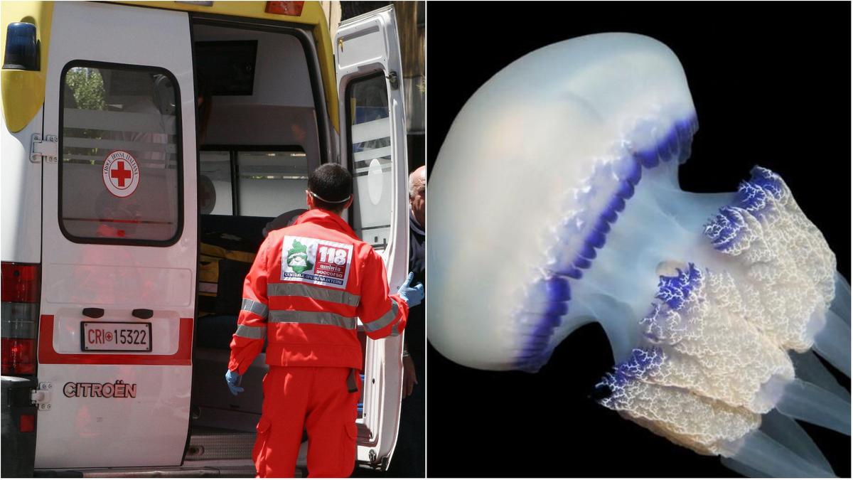 Punto da una medusa, si sente male e perde i sensi in spiaggia. E’ grave