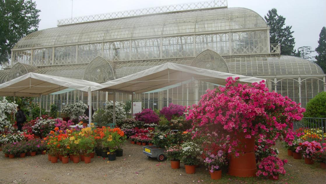 Torna la mostra dei fiori all’Orticoltura: a Firenze 75 espositori da tutta Italia