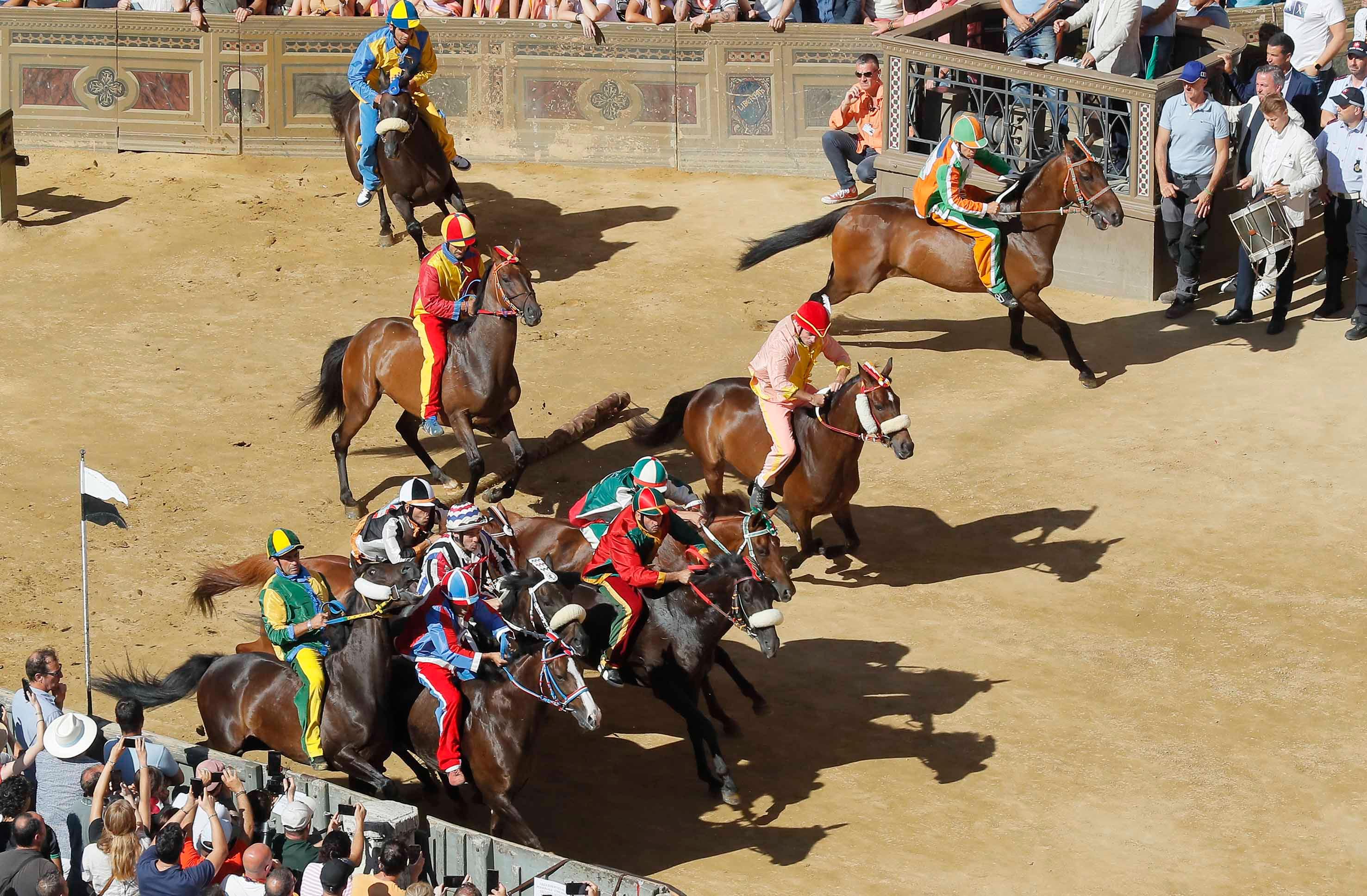 Palio, la Pantera vince la quarta prova Palio, la Pantera vince la quarta prova