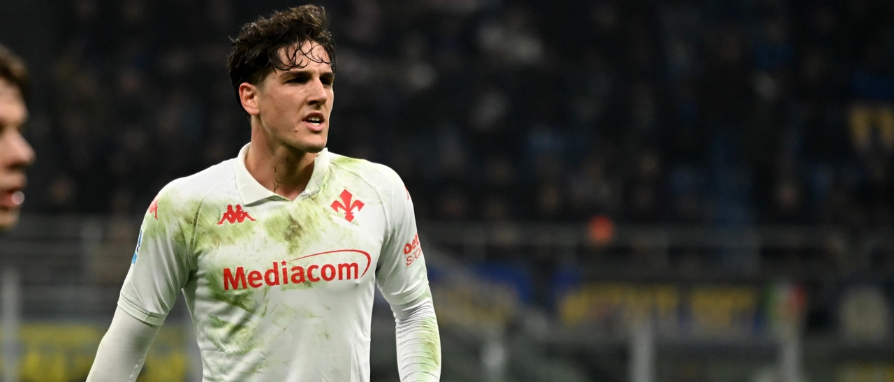 Fiorentina-Como, viola affamati di Europa. Probabili formazioni e tv