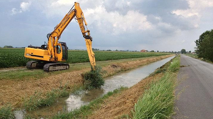 Il Consorzio di Bonifica è impegnato nella cura del territorio Il Consorzio di Bonifica è impegnato nella cura del territorio