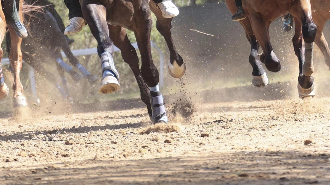 Appuntamento oggi a partire dalle 15 con le corse di addestramento: il quadro completo .