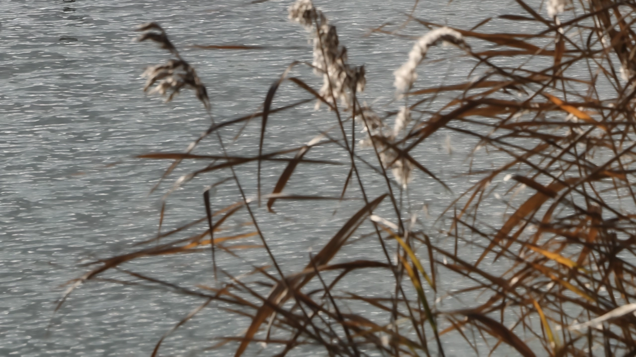 La carenza d’acqua affligge da anni il lago Trasimeno creando non poche conseguenze La carenza d’acqua affligge da anni il lago Trasimeno creando non poche conseguenze