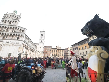 immagine articolo