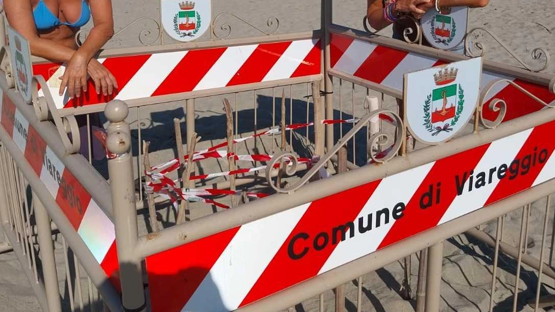 Dopo il ritrovamento, le volontarie di Legambiente hanno messo in sicurezza il nido sulla spiaggia libera di Torre del Lago. Durante l’incubazione faranno a turno per controllare e proteggere le uova in attesa della schiusa Dopo il ritrovamento, le volontarie di Legambiente hanno messo in sicurezza il nido sulla spiaggia libera di Torre del Lago. Durante l’incubazione faranno a turno per controllare e proteggere le uova in attesa della schiusa