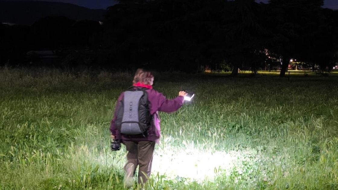 Omicidio di via Corridoni. Il minore resta in cella: "Ma non sono stato io". Disposto l’esame del dna Omicidio di via Corridoni. Il minore resta in cella: "Ma non sono stato io". Disposto l’esame del dna