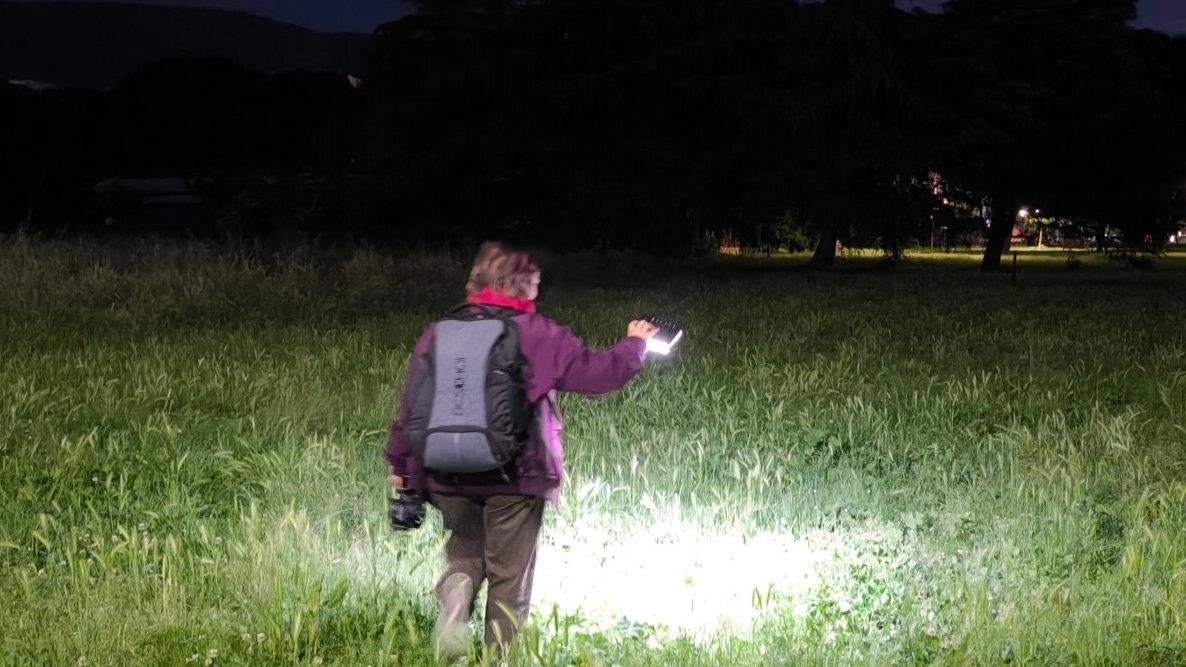 Ieri l’interrogatorio di garanzia. Il giovane ha ribadito di non aver sferrato il colpo mortale. Accertamenti su cacciavite e taglierino trovati ai giardini.