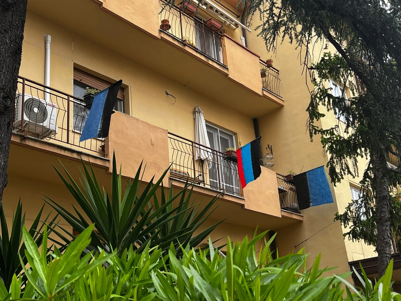 immagine di sfondo 5