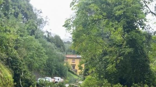 Franato un muro a Brucciano (Molazzana. ); albero caduto lungo la strada Barga-Tiglio (foto Borghesi) Franato un muro a Brucciano (Molazzana. ); albero caduto lungo la strada Barga-Tiglio (foto Borghesi)