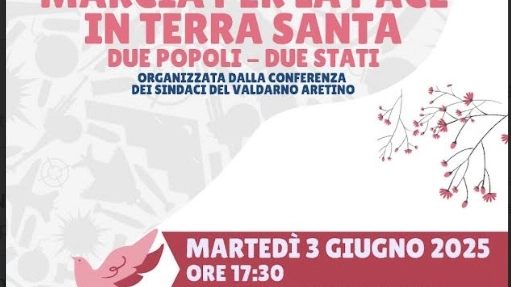 La locandina della marcia della pace La locandina della marcia della pace