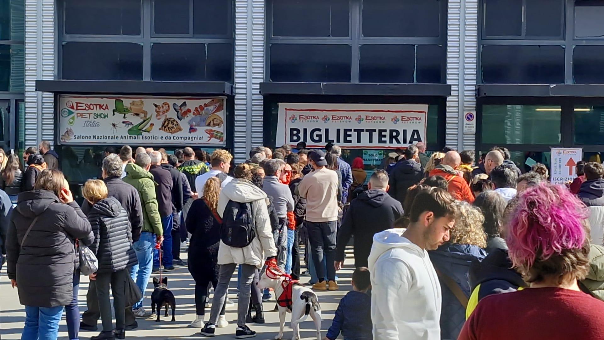 oltre 290mila visitatori