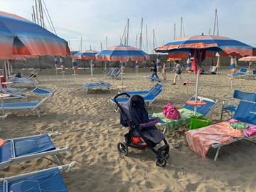 immagine articolo