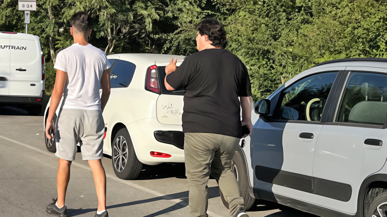 Modifiche alla viabilità all’interno del territorio comunale di San Giovanni per la manutenzione del verde pubblico: la mappa delle zone. e gli orari Modifiche alla viabilità all’interno del territorio comunale di San Giovanni per la manutenzione del verde pubblico: la mappa delle zone. e gli orari