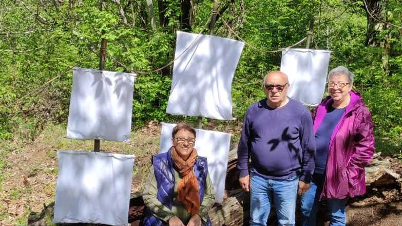 A Jera, Bagnone, il bosco delle meraviglie, creato da volontari, offre una magica esperienza tra castagni e torrenti. Martedì 13, gnomi e folletti terranno una festa notturna per grandi e piccini. Un'occasione per sognare e scoprire i borghi incantati del bagnonese. A Jera, Bagnone, il bosco delle meraviglie, creato da volontari, offre una magica esperienza tra castagni e torrenti. Martedì 13, gnomi e folletti terranno una festa notturna per grandi e piccini. Un'occasione per sognare e scoprire i borghi incantati del bagnonese.
