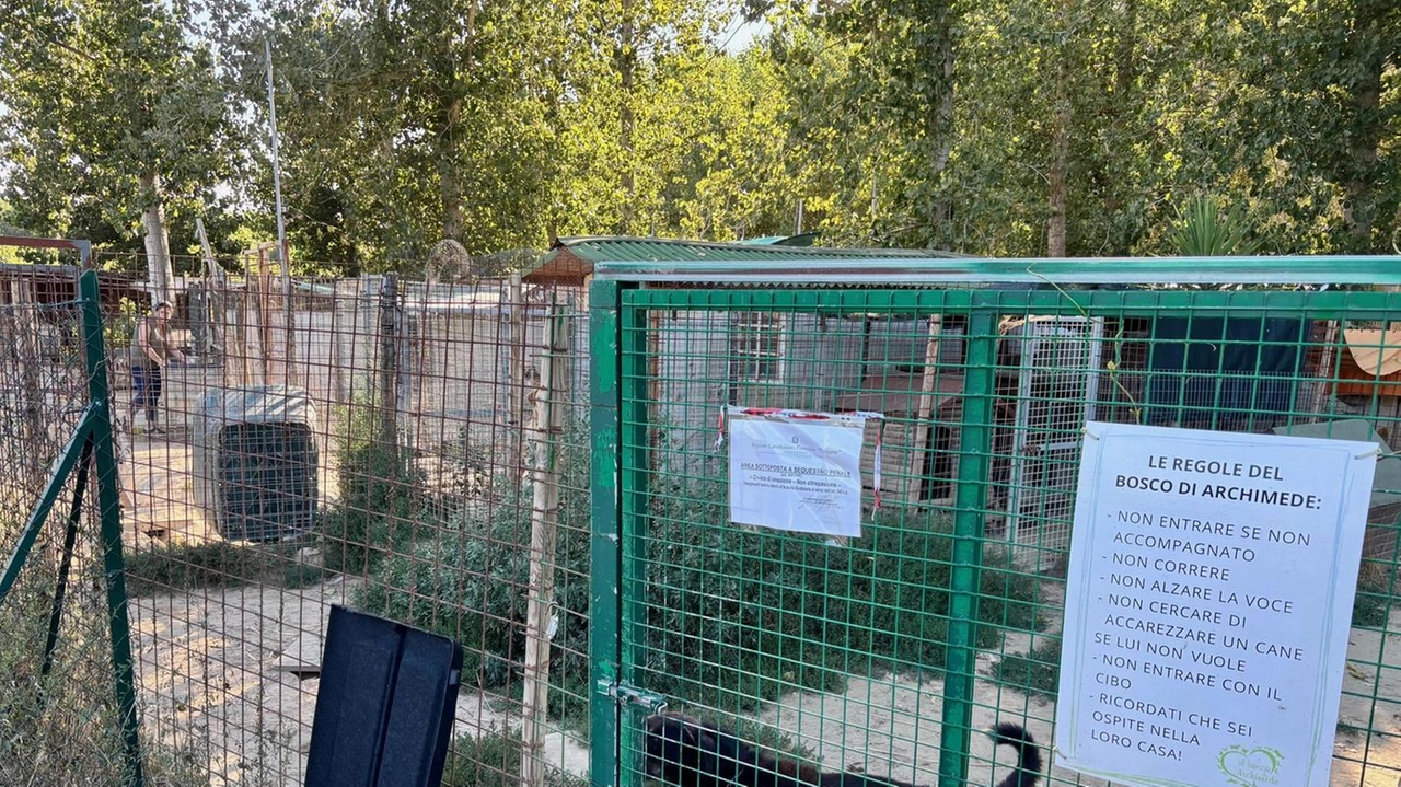 Il Bosco di Archimede messo sotto sequestro preventivo dai carabinieri forestali (foto Bongianni/Germogli)