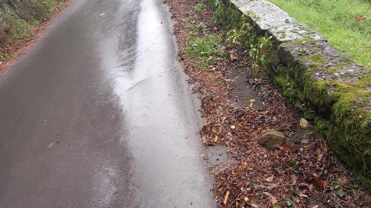 Alcuni lettori hanno segnalato la scarsa manutenzione del Viale della Rimembranza a Castelnuovo, la strada a senso unico che dal... Alcuni lettori hanno segnalato la scarsa manutenzione del Viale della Rimembranza a Castelnuovo, la strada a senso unico che dal...