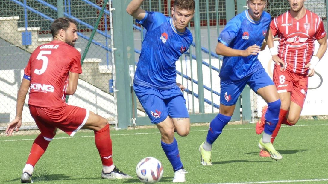 La Zenith Prato stasera di nuovo ’ospite’ al comunale di Sesto Fiorentino La Zenith Prato stasera di nuovo ’ospite’ al comunale di Sesto Fiorentino