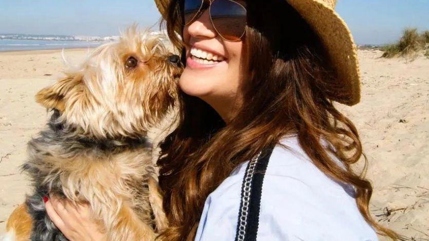 Sempre più famiglie cercano strutture ricettive che accolgano anche i loro cani