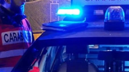 Nel difficile arresto dell’uomo rimase ferito anche uno dei carabinieri intervenuti Nel difficile arresto dell’uomo rimase ferito anche uno dei carabinieri intervenuti