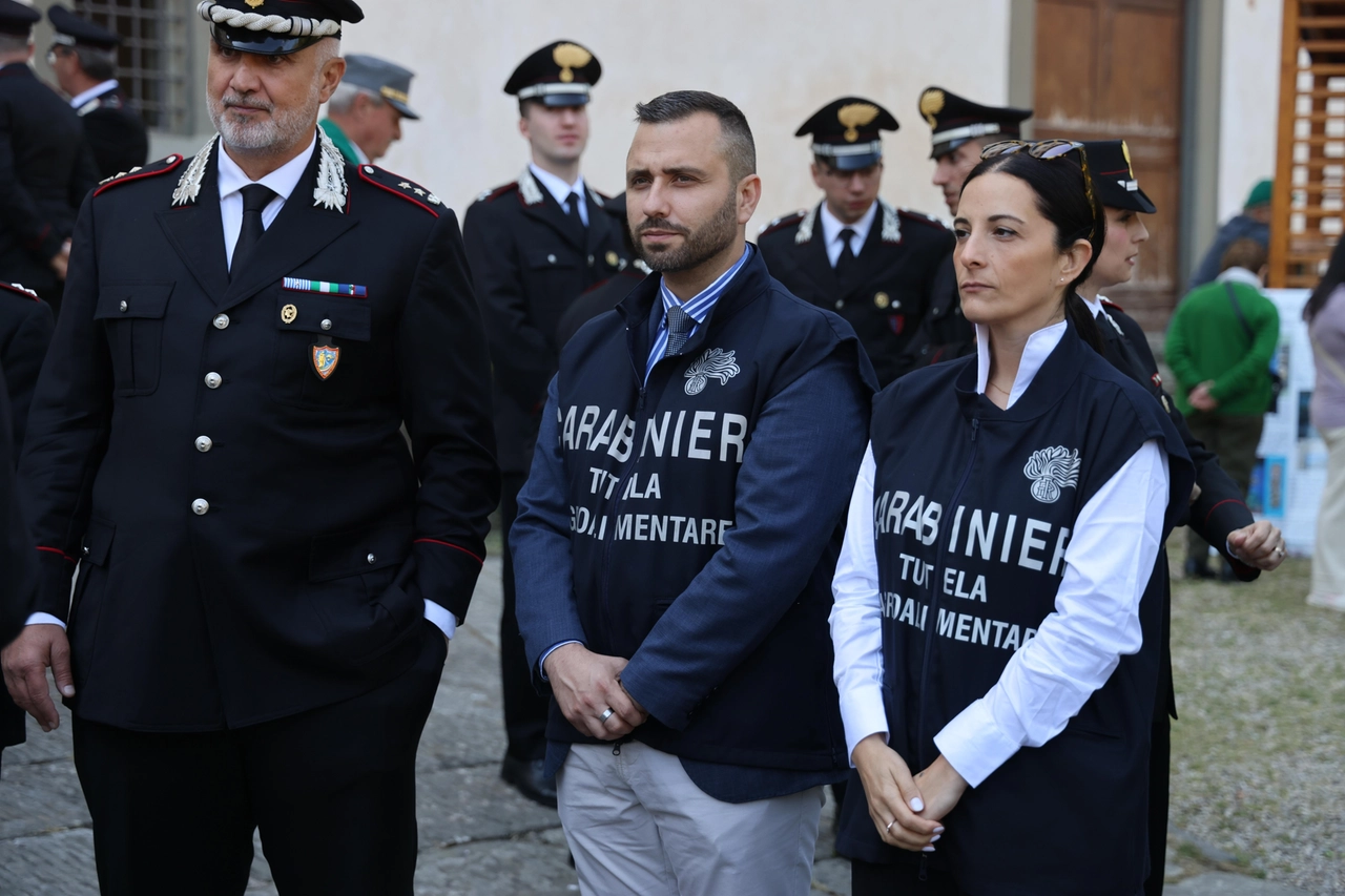 immagine di sfondo 8