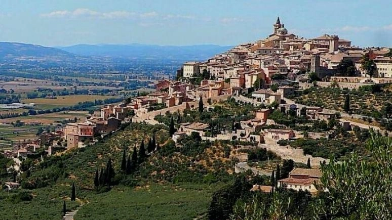 Focus sulla Fascia olivata, interverrà anche Mauro Agnoletti, titolare della Cattedra Unesco istituita all’Università di Firenze Focus sulla Fascia olivata, interverrà anche Mauro Agnoletti, titolare della Cattedra Unesco istituita all’Università di Firenze