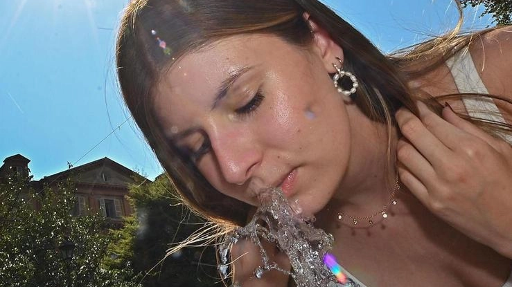 In provincia un caldo da record In provincia un caldo da record