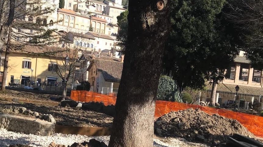 Non c’è pace sul restyling di piazza 40 Martiri e in particolare sui lavori che hanno interessato il giardino. Associazioni di nuovo lancia in resta Non c’è pace sul restyling di piazza 40 Martiri e in particolare sui lavori che hanno interessato il giardino. Associazioni di nuovo lancia in resta
