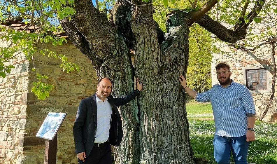 https://www.lanazione.it/image-service/view/acePublic/alias/contentid/OGZjMWY2MTgtYmY3NC00/0/antichi-borghi-e-alberi-monumentali-passeggiate-alla-scoperta-del-bello.jpeg