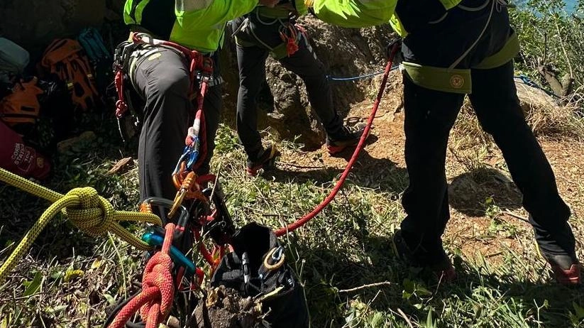 Un brutto pomeriggio per un escursionista che si è ritrovato al pronto soccorso dell’ospedale di Lavagna con il naso fratturato.... Un brutto pomeriggio per un escursionista che si è ritrovato al pronto soccorso dell’ospedale di Lavagna con il naso fratturato....