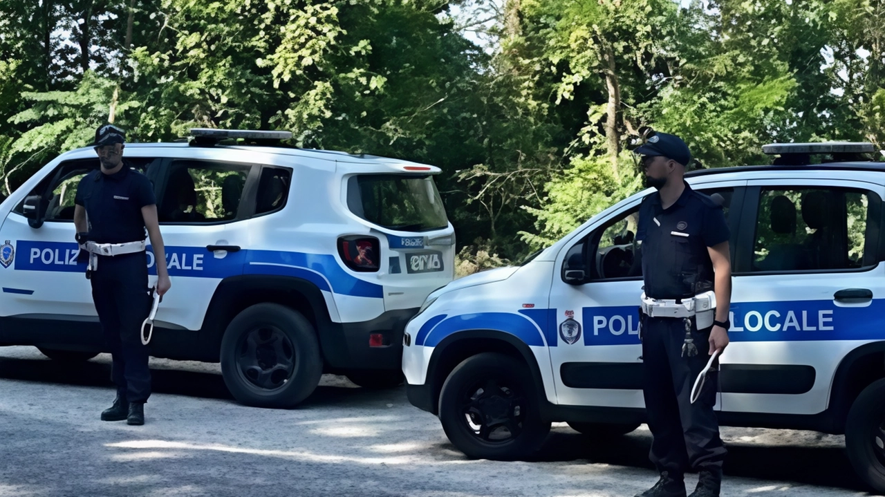 Ad indagare sull’incidente costato la vita al cagnolino è stata la Polizia locale di Città di Castello che ha individuato il conducente dell’auto Ad indagare sull’incidente costato la vita al cagnolino è stata la Polizia locale di Città di Castello che ha individuato il conducente dell’auto