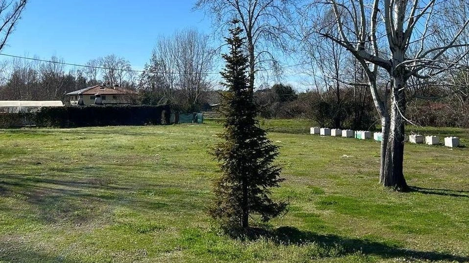 A dieci anni dal fortunale che colpì duramente il territorio, l’amministrazione comunale insieme alla Contrada Il Ponte organizzano una cerimonia... A dieci anni dal fortunale che colpì duramente il territorio, l’amministrazione comunale insieme alla Contrada Il Ponte organizzano una cerimonia...