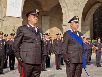 immagine articolo