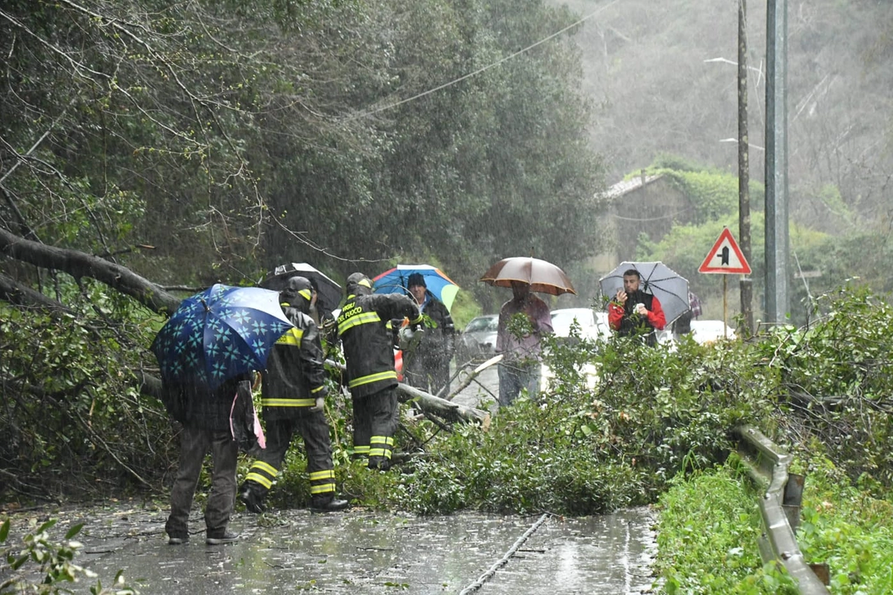 immagine di sfondo 10