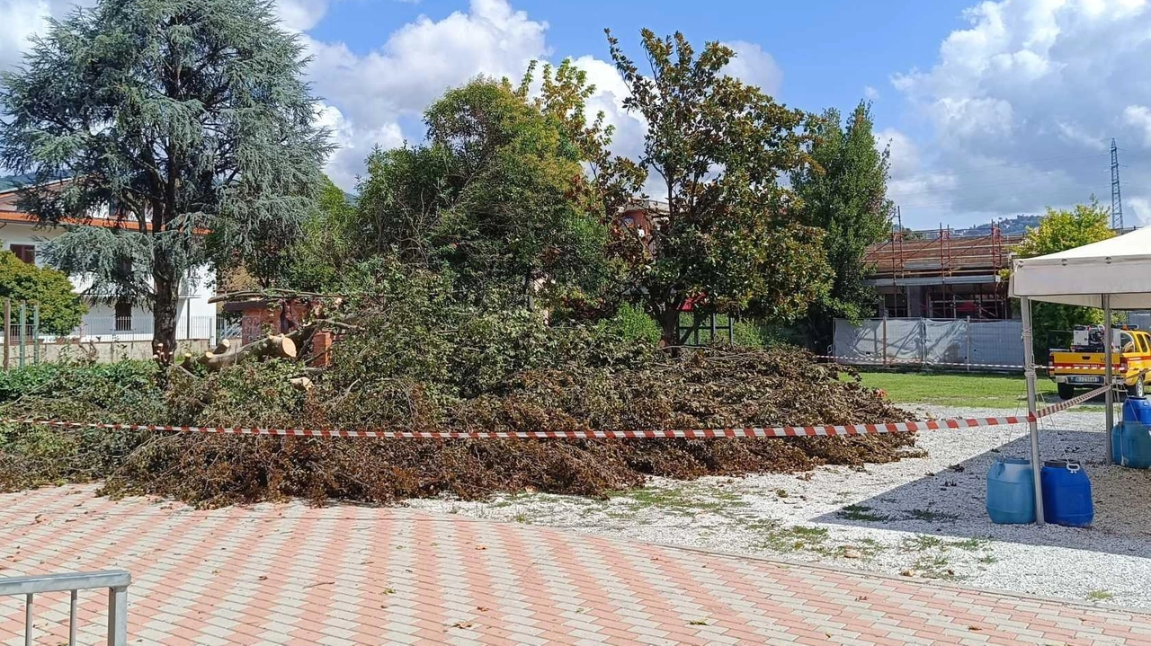 Montecatini e Monsummano uscite indenni . Problemi a Pescia, Uzzano e Massa e Cozzile . . Montecatini e Monsummano uscite indenni . Problemi a Pescia, Uzzano e Massa e Cozzile . .