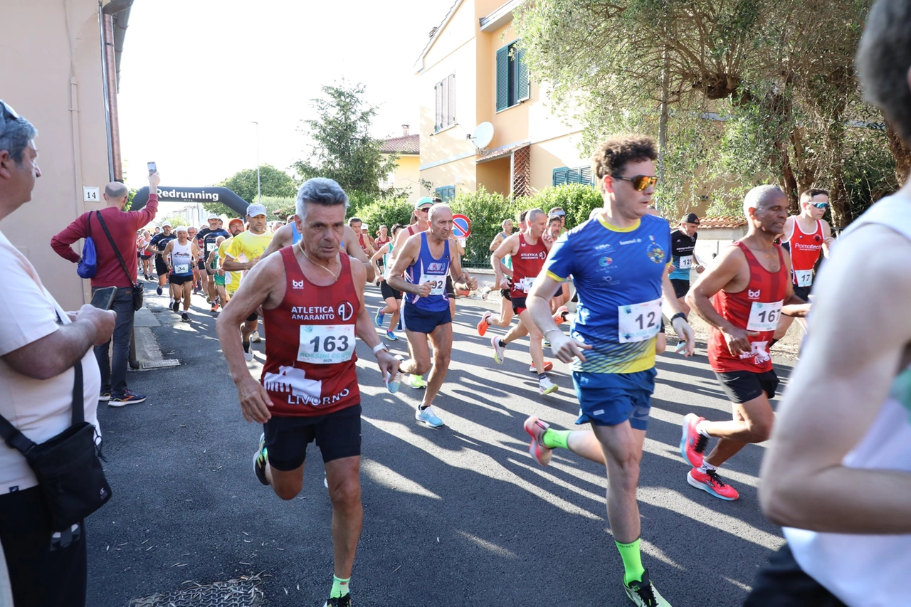 immagine di sfondo 14