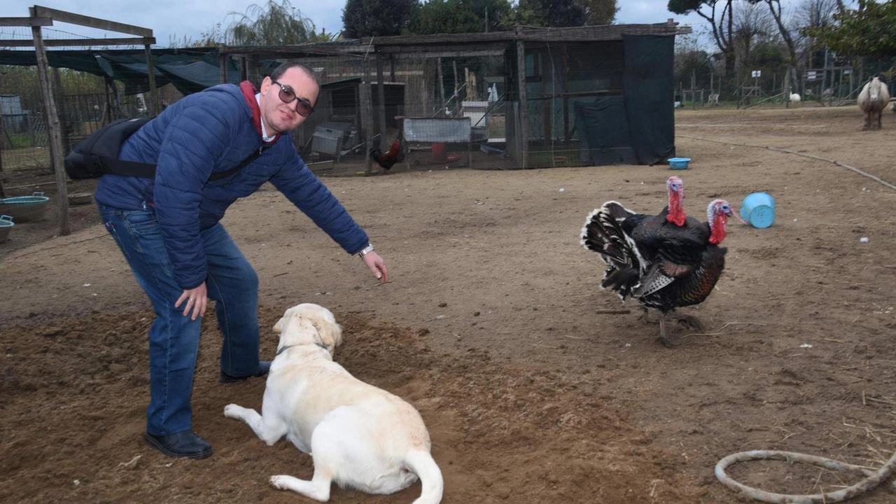Il ’Campo’ con la fattoria e gli oltre 90 animali dove si svolgono le attività della Casa Famiglia Il ’Campo’ con la fattoria e gli oltre 90 animali dove si svolgono le attività della Casa Famiglia