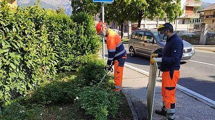 Importante operazione che riguarda il verde pubblico tra decoro e messa in sicurezza Importante operazione che riguarda il verde pubblico tra decoro e messa in sicurezza