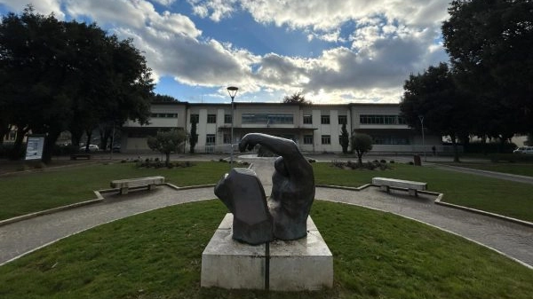 L'Istituto Petrarca L'Istituto Petrarca
