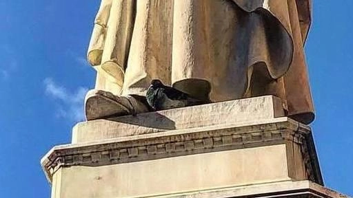 Fabia Romagnoli ha lanciato un appello che non può e non deve essere lasciato cadere nel vuoto, non ha niente... Fabia Romagnoli ha lanciato un appello che non può e non deve essere lasciato cadere nel vuoto, non ha niente...