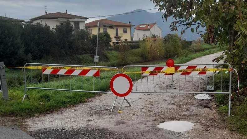 La strada di Via della Figuretta a Pisa è in condizioni critiche, impedendo l'accesso al rifugio per gatti e minacciando adozioni. Le istituzioni sono chiamate all'urgente intervento. La strada di Via della Figuretta a Pisa è in condizioni critiche, impedendo l'accesso al rifugio per gatti e minacciando adozioni. Le istituzioni sono chiamate all'urgente intervento.